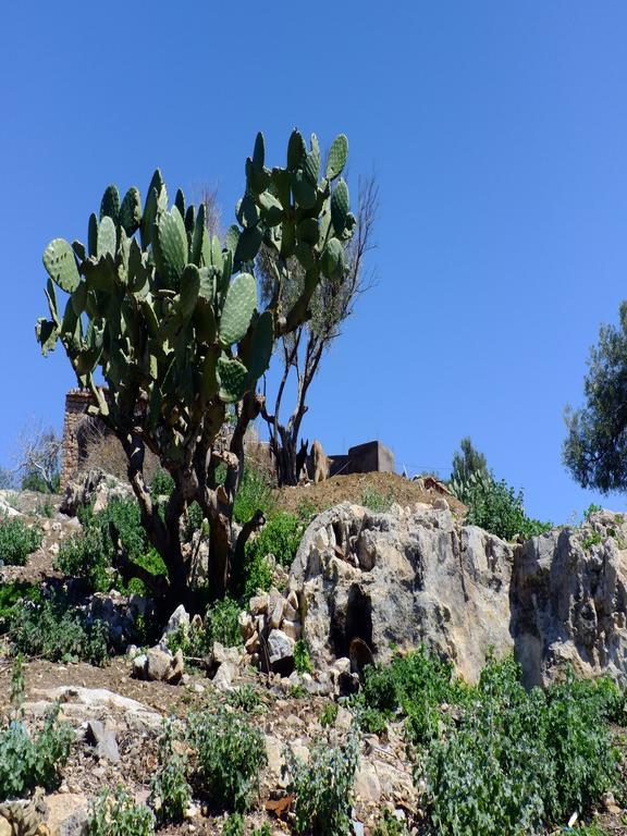 Riad Cascades D'Ouzoud Exteriör bild
