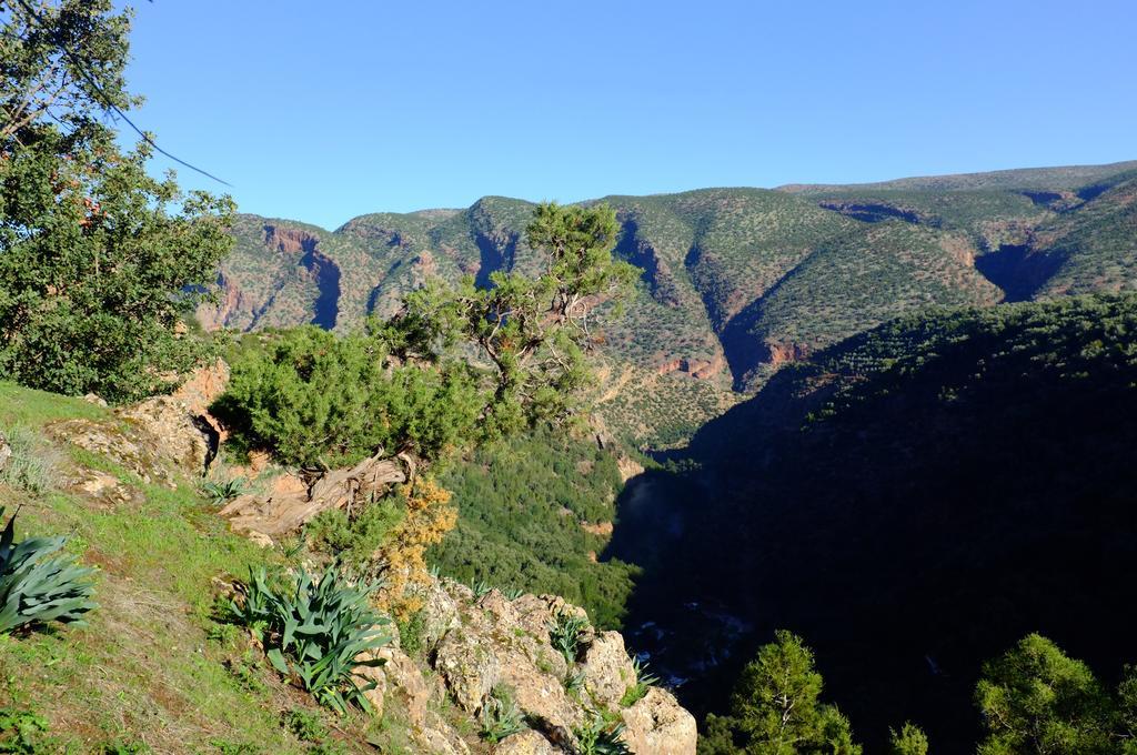 Riad Cascades D'Ouzoud Exteriör bild