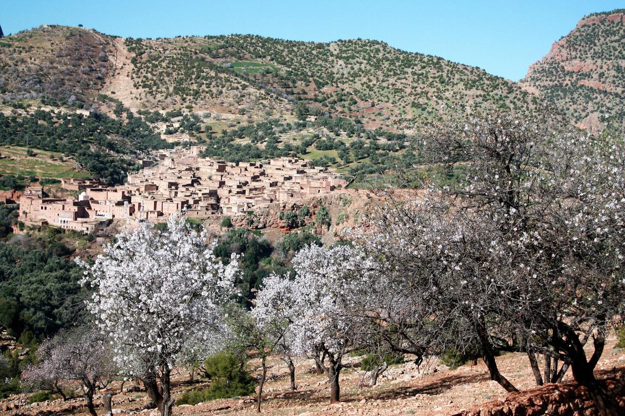Riad Cascades D'Ouzoud Exteriör bild